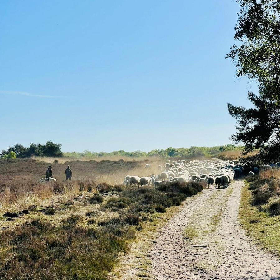 Luxe Vakantiehuis Huismus Veluwe Nunspeet Exterior foto